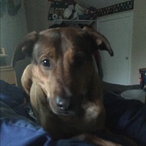 Meet your Posher, Jake